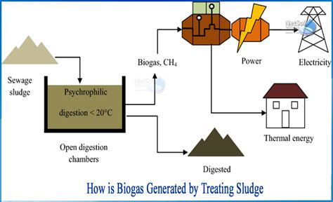 How Is Biogas Generated By Treating Sludge
