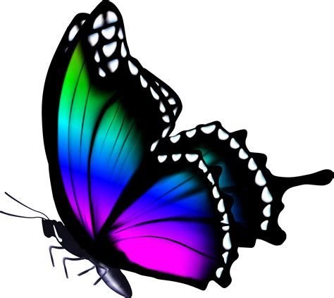 Download Hd Butterfly Butterfly Png Hd Colors Transparent Png Image