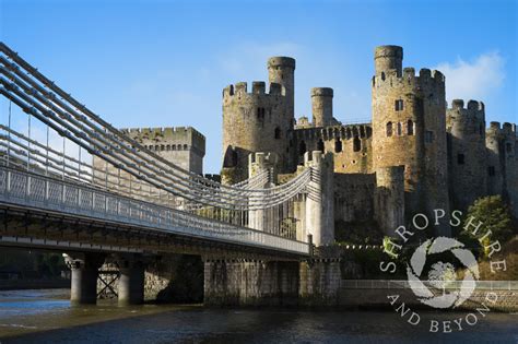 Medieval Conwy Castle And Suspension Bridge In Conway North Wales
