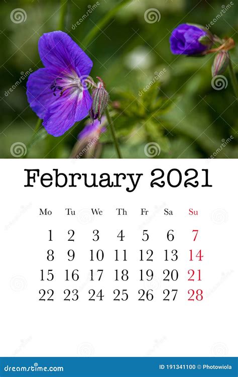 Calendar Card For The Month Of February Stock Illustration