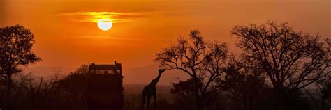 Visiting Kenya On Safari Tour African Safari Tours And Holidays Kenya Blog