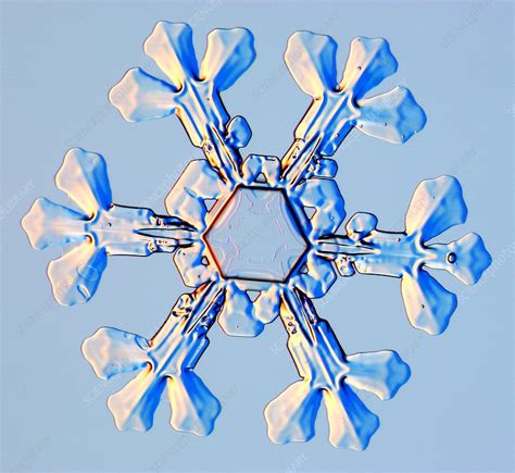 Snowflake Stock Image E1270407 Science Photo Library