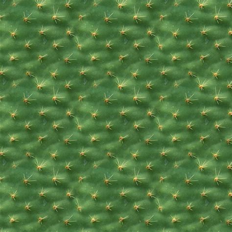 Premium Photo Seamless Texture Cactus Leaf Structure As Background