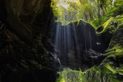 100 Free Forest Cave And Cave Images