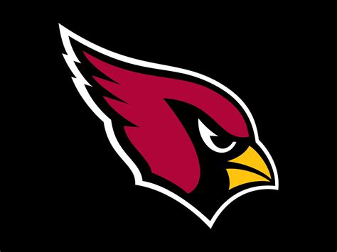 National Football All Sim League Team Spotlight Arizona Cardinals8