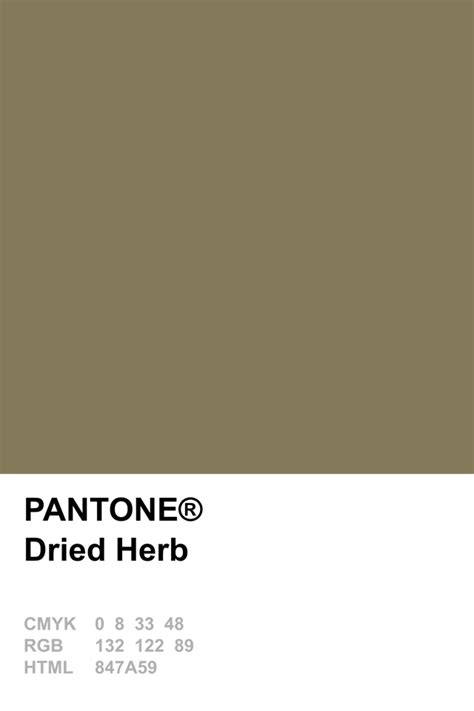 Pantone 2015 Dried Herb Pantone Colour Palettes Pantone Palette