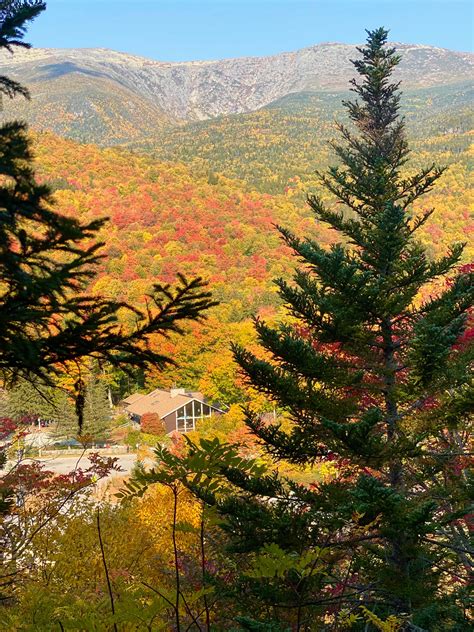 The Freelance Adventurer 3 Easy And Stunning Fall Foliage Hikes In