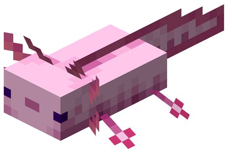 The New Axolotl Are Cute Minecraft