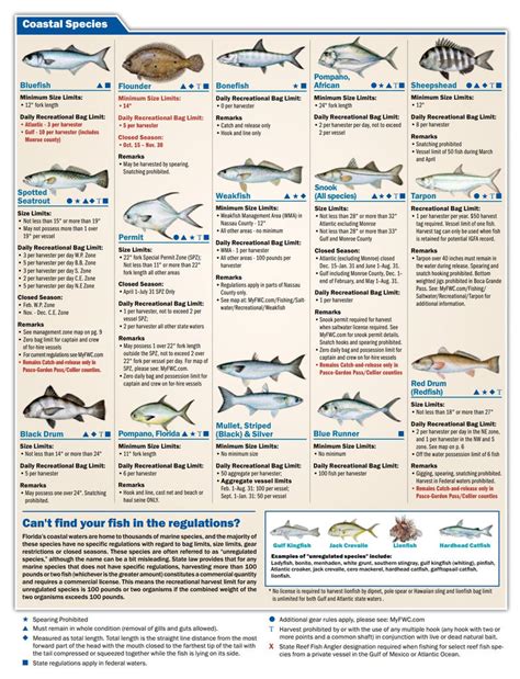 Florida Saltwater Recreational Fishing Regulations Reef And Reel
