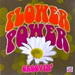 Time-life Flower Power Groovin' - CD - **Mint Condition** | eBay