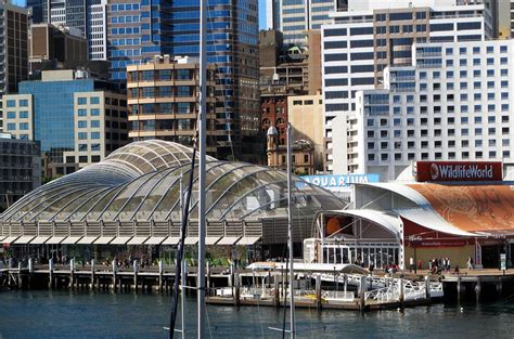 8 Captivating Facts About WILD LIFE Sydney - Facts.net