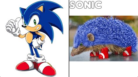 Real Life Sonic Characters