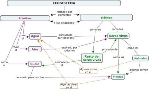 Cuadros Sinópticos Sobre Ecosistema Factores Bioticos Y Abioticos