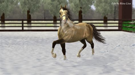 Sims 3 Horse Edit Comission 3 By Liloli1997ger