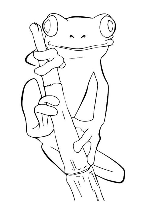 Cute Frog Coloring Pages At Free Printable Colorings