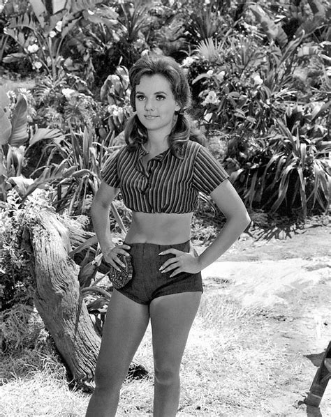 Dawn Wells Publicity Photo For Gilligans Island CBS 1964 1967