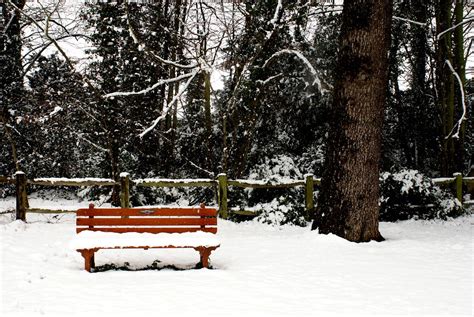 Park Bench Covered In Snow Park Bench Covered In Snow Nowt Flickr