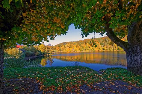 Photos Germany Foliage Ulmen Autumn Nature Scenery River Trees