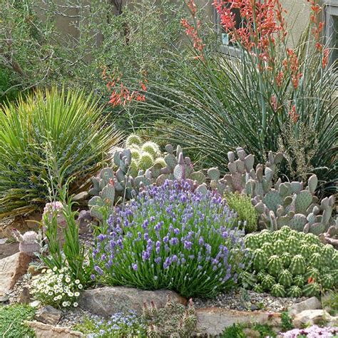 Included in the garden collection are *3 plants each* of: How To Create Well-Drained Soil | High Country Gardens