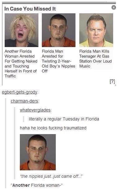 Another Day In Florida Florida Man Know Your Meme