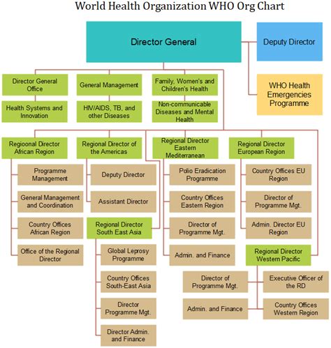 World Health Organization Org Chart How Many Divisons Do U Know Org