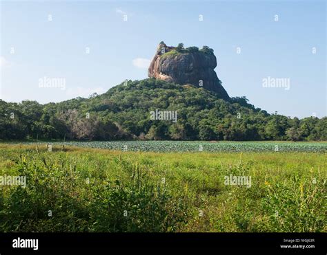 View Of Sigiriya Rock Fortress Central Province Sri Lanka Asia Stock