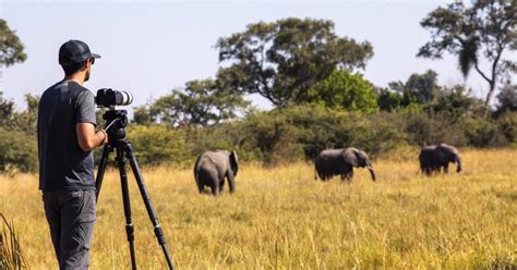 10 Best African Photographic Safaris 20242025 Tour Deals And Tips