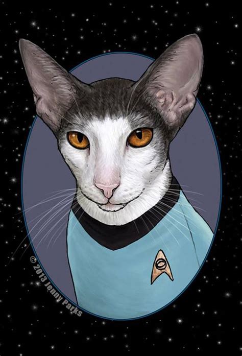 Star Trek Cats Neatorama