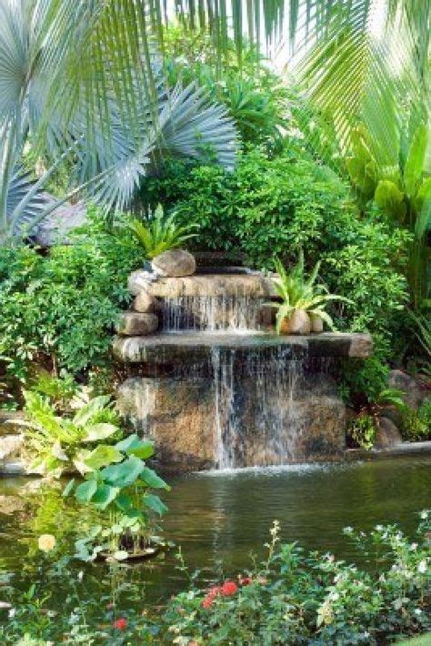 Stock Photo Tropical Garden Garden Fountains Tropical Landscaping