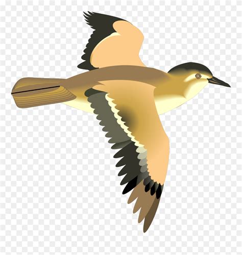 Download Flying Birds Clip Art Ciij Animated Flying Bird Png