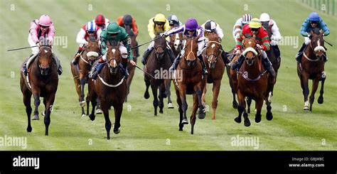 Horse Racing Newmarket Racecourse Stock Photo Alamy