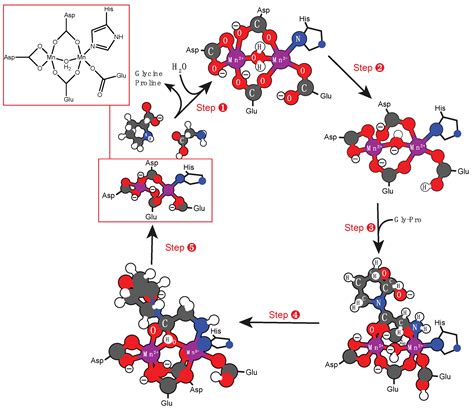 Molecules Free Full Text Formation Of Unstable And Very Reactive
