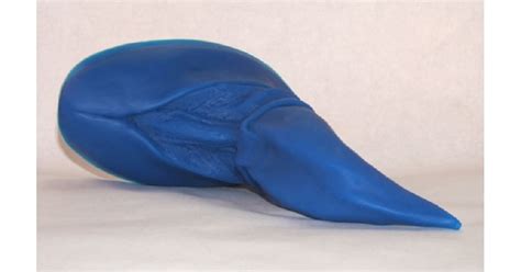 Silicone Dolphin These Animal Shaped Sex Toys Are Adorable Popsugar