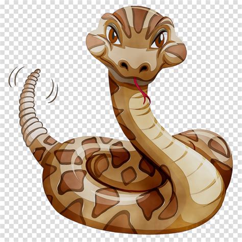 Pet Rattlesnake Clip Art Clip Art Library