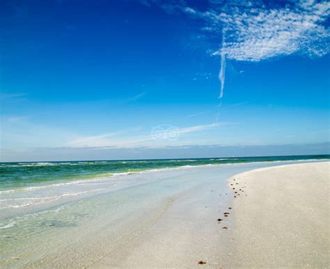 Beach Palms Of Siesta Key Village Florida Opiniones Y Precios