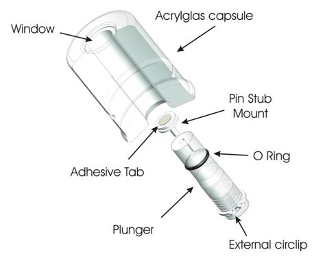 Schematic Of The Standard Capsule The Capsule Essentially Consists Of