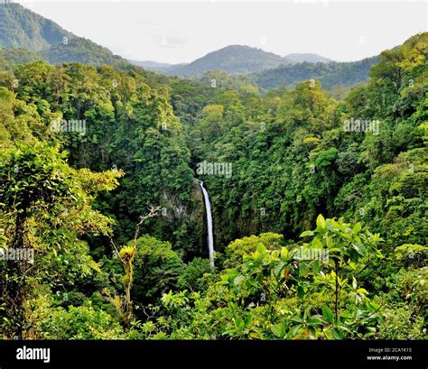 Costa Rico Rainforest Waterfall Stock Photo Alamy