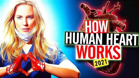 How Human Heart Works Youtube