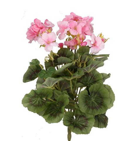 Which brand has the largest assortment of bushes at the home depot? Large Artificial Geranium Bush | Geraniums, Bushes and ...