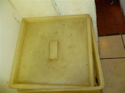 Inside Indian Takeaway Where Dead Mouse Was Found Liquefied Liverpool Echo