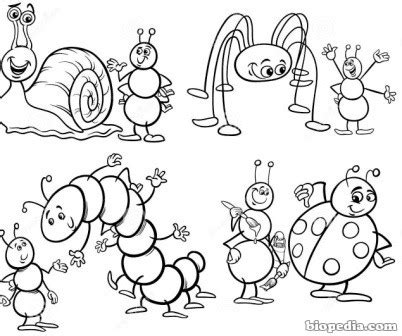Colorea a los insectos | BIOPEDIA