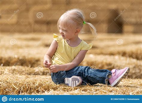 Cute Fair Haired Girl With Ponytails Sits In The Hay Weekend On The