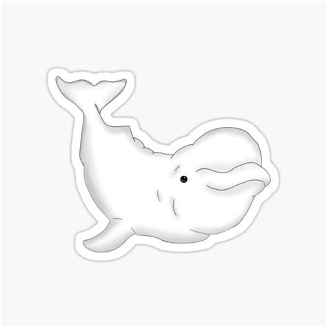Beluga Whale Sticker For Sale By Nancymaedesgins Redbubble