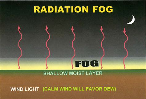 What Makes Sea Fog