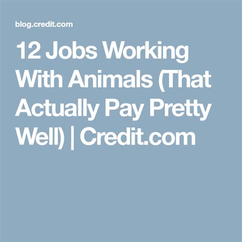 12 Jobs Working With Animals That Actually Pay Pretty Well Credit