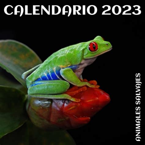 Buy Io Español Del 2023 Animales Salvajes Io De Pared 2023 Con Los