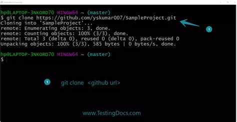 Clone An Existing Git Repository