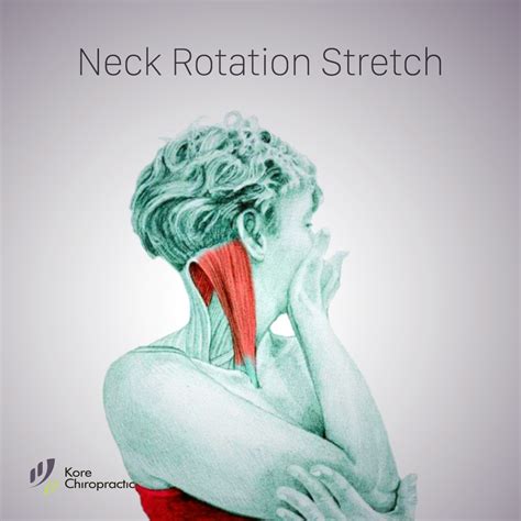 Stretching Neck Rotation Targeted Muscles Sternocleidomastoid “scm