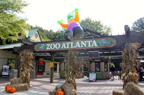 Tips For Visiting Zoo Atlanta This Is My South