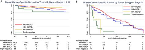 Kaplanmeier Curve For Breast Cancer Specific Survival According To